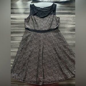 Elegant Shimmery Dress